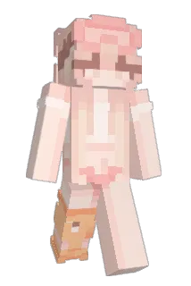 SkyTwilight11 Minecraft avatar full body