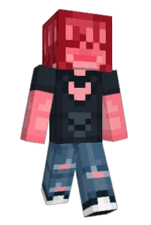 SkylaDev Minecraft avatar full body