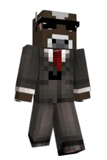 Skyraid__ Minecraft avatar full body