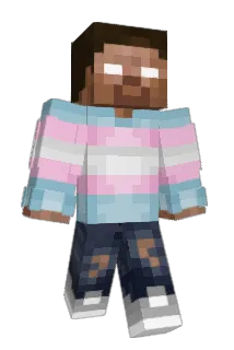 Skywell Minecraft avatar full body