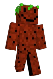 SlawaSkuba Minecraft avatar full body