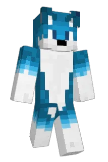SleepWarwick Minecraft avatar full body