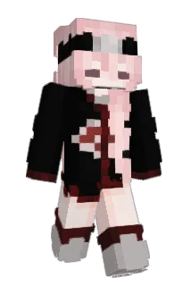 SleepyCat417 Minecraft avatar full body