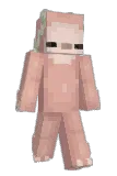 Sleepysloth626 Minecraft avatar full body