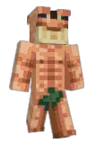 Sleerton Minecraft avatar full body