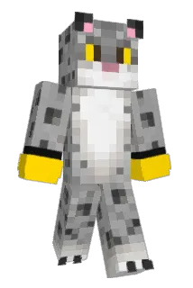 Slexer Minecraft avatar full body