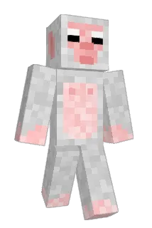 Slowart Minecraft avatar full body