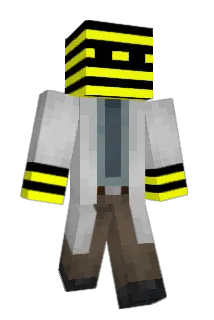Smakcc Minecraft avatar full body