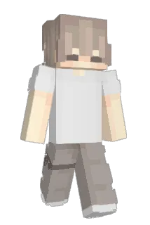 Smallenis Minecraft avatar full body