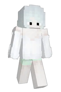 SmanWink Minecraft avatar full body