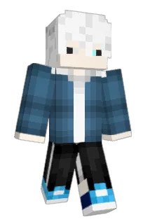Smart29 Minecraft avatar full body