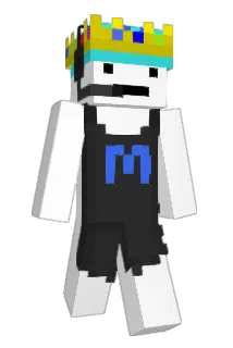 SmartPigeon9 Minecraft avatar full body