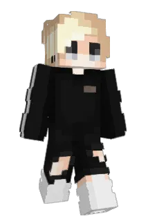 Smax1396 Minecraft avatar full body