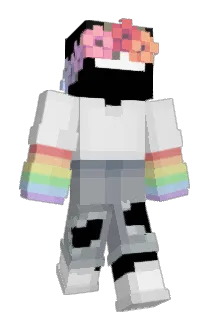 Smee___ Minecraft avatar full body