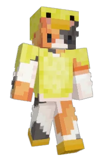 SmelliotTheWiz Minecraft avatar full body
