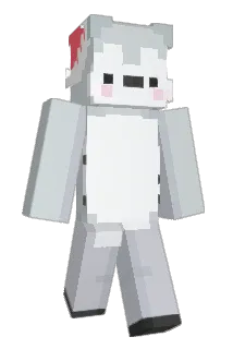 SmileyTurtle11 Minecraft avatar full body