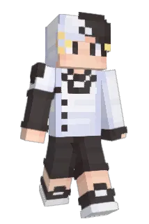 Smokefortnite Minecraft avatar full body