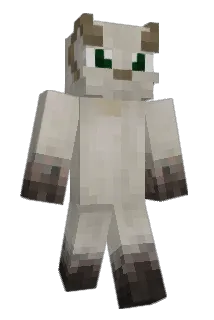 Smoropoporo Minecraft avatar full body