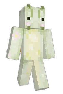 Snailey11 Minecraft avatar full body