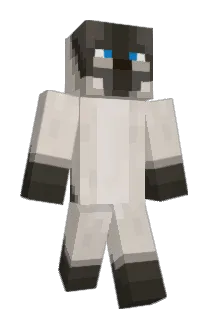 SnappyCobra12 Minecraft avatar full body