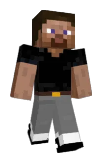 Snelweg Minecraft avatar full body