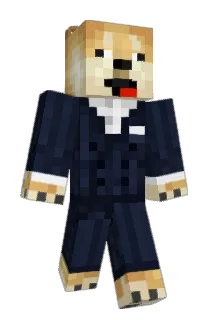 SneuV2 Minecraft avatar full body