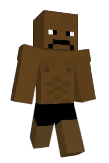 Snondeik Minecraft avatar full body