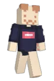 Snoozypher Minecraft avatar full body