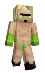 Custom render preview