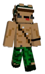 Custom render preview
