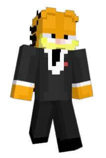 SnxBmx Minecraft avatar full body