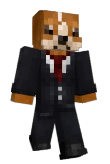 Snxp3 Minecraft avatar full body