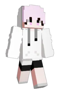 So11O Minecraft avatar full body