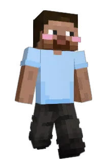 So1ev Minecraft avatar full body