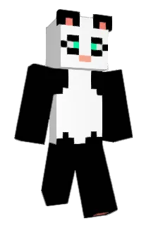 SoCaEk Minecraft avatar full body