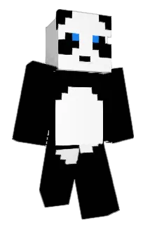 SoccerbudNate Minecraft avatar full body