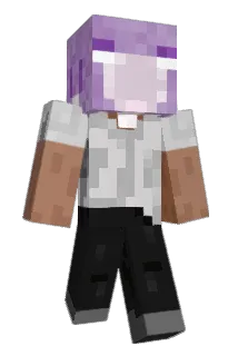 SockMister Minecraft avatar full body