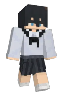 Sockle Minecraft avatar full body