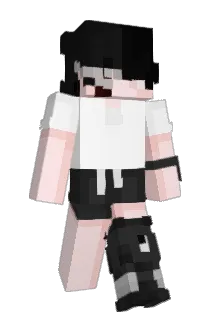 SodCookie Minecraft avatar full body