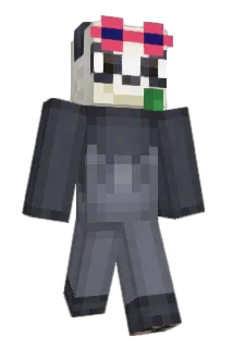 Sodium14 Minecraft avatar full body