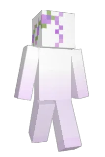 Sodolosis Minecraft avatar full body
