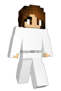 Sofa42 Minecraft avatar full body