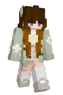Soffe100 Minecraft avatar full body
