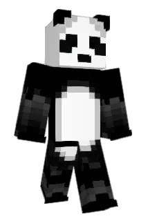 SofiaOnMinecraft Minecraft avatar full body