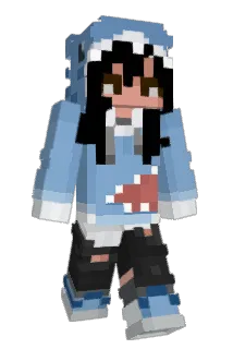 SoftballPro44 Minecraft avatar full body