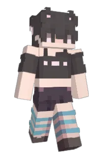 SoftboyAlbus Minecraft avatar full body