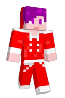 Softsh Minecraft avatar full body