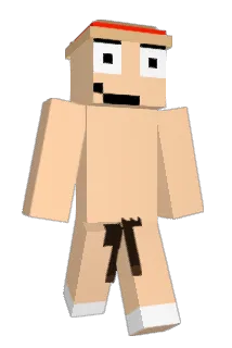 SogFam Minecraft avatar full body