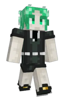 SoggynoodlesTNT Minecraft avatar full body