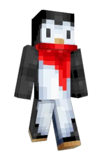 Sojks Minecraft avatar full body